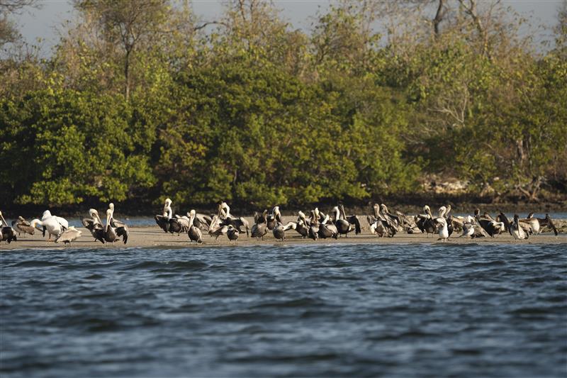 Mosaics sunken islands preservation